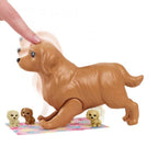 Mueca Y Cachorros Barbie