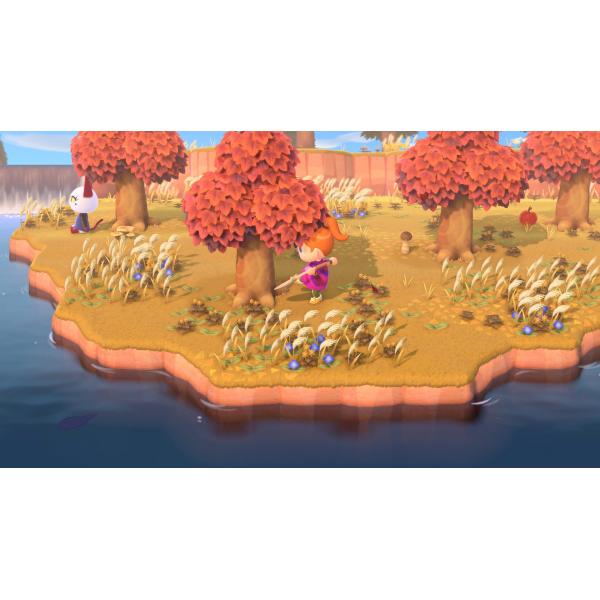 Animal Crossing: New Horizon Switch