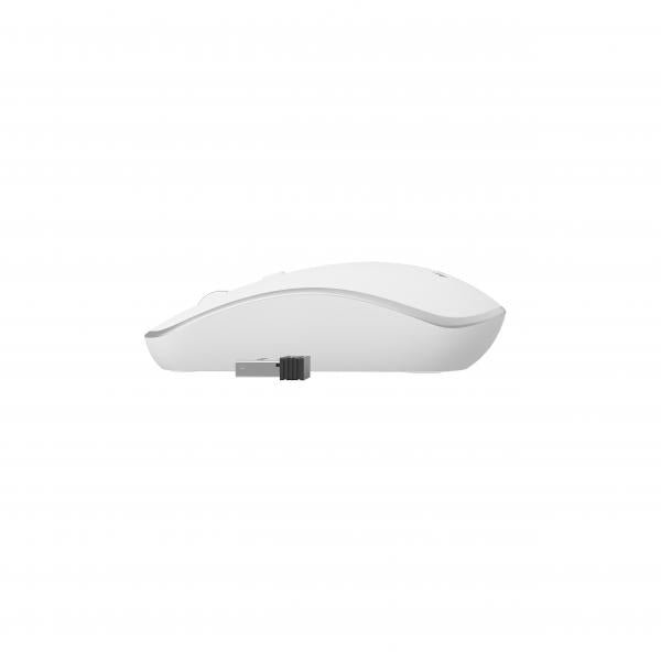 Raton Gembird Wireless Optical White Silver Main Image