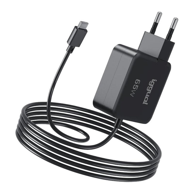 iggual Cargador portátil y móvil tipo C PD 65W Hover Image