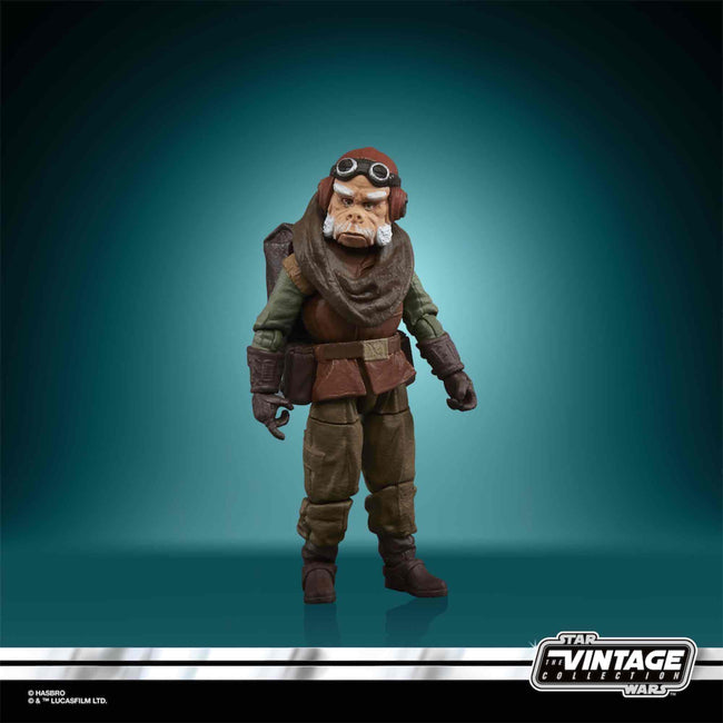 Figura Hasbro Kuiil 10 Cm Star Wars The Mandalorian Vintage Collection Hover Image