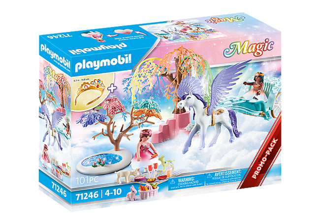 Playmobil Pícnic Con Carruaje Pegaso Main Image