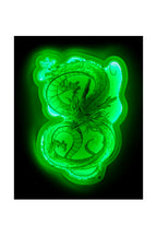 Mural Lampara Neon Teknofun Madcow Entertainment Dragon Ball Shenron Light - Up 40 Cm