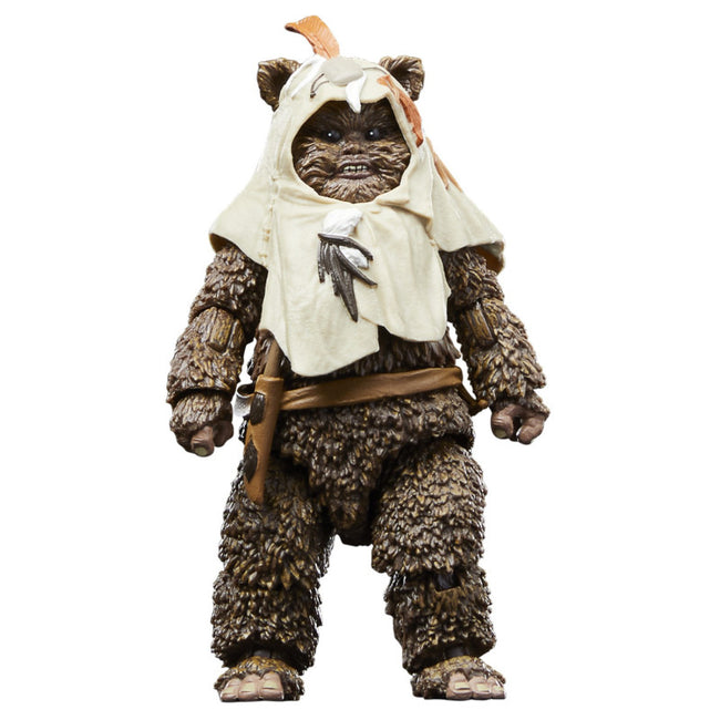 Figura Hasbro Star Wars The Black Series El Retorno Del Jedi Paploo Main Image