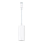 Adaptador Usb Tipo C A Mini Displayport Apple Blanco - Macho - Hembra