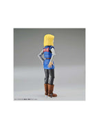 Figure - Rise Standard Android 18 Pkg Renewal Re - Run