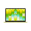 Portatil Apple Macbook Neo 13 - A18 Pro - 8gb - Ssd 256gb - 13 Pulgadas - Citrus