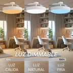 3nod - Ventilador De Techo Concept Ray Luz Led Regulable Motor Dc 6 Velocidades