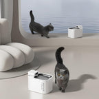 Filtros para Bebedero Automático PETKIT Eversweet MAX - Petkit Filter Unit Rect - Kit 5 Unidades