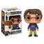 Figura Funko Pop Harry Potter Sweater Limited