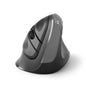 Raton Ergonomico Inalambrico Ewent Ew3229 Gris