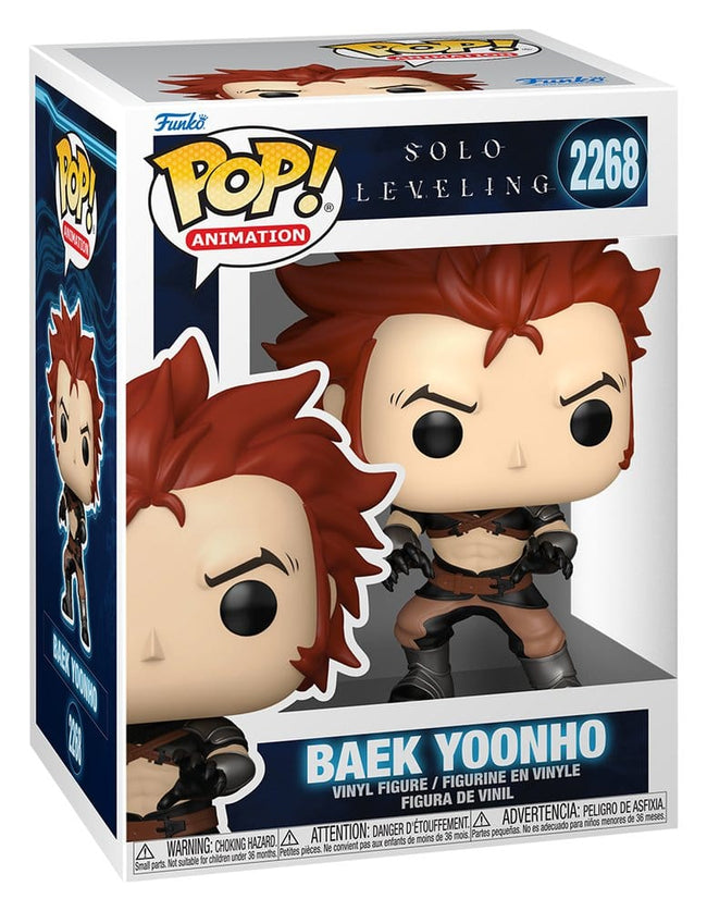 Funko Pop Solo Leveling Baek Yoonho Hover Image