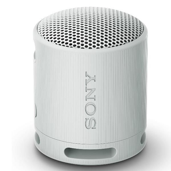 Sony SRS-XB100 Gris Main Image