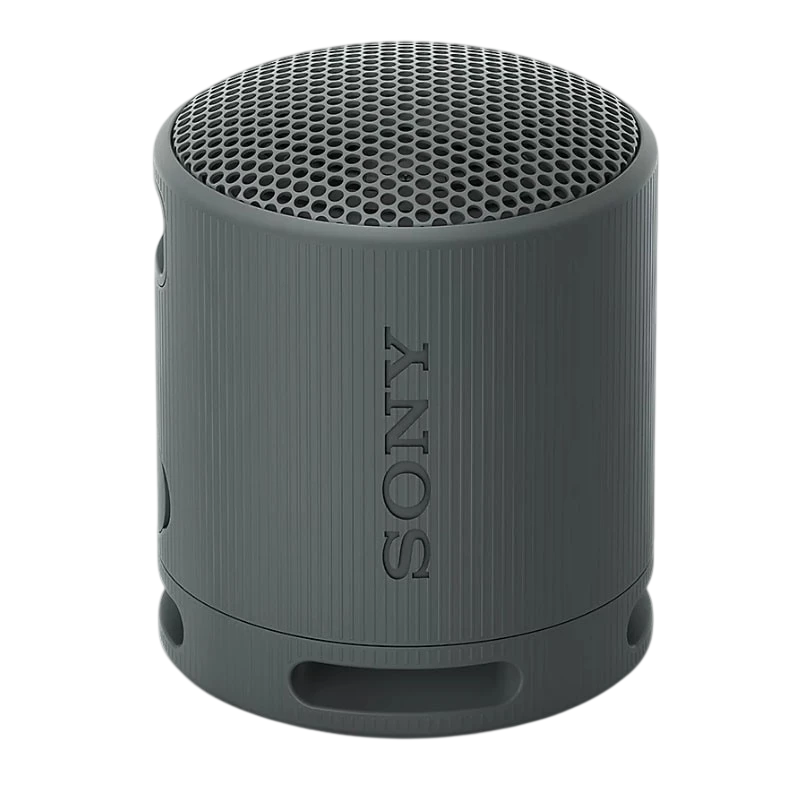Sony SRS-XB100 Negro