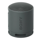 Sony SRS-XB100 Negro