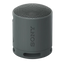 Sony SRS-XB100 Negro