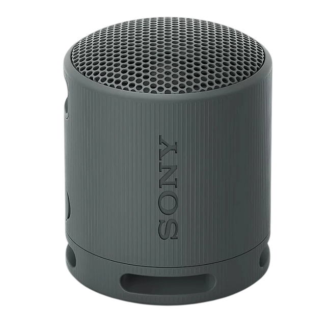 Sony SRS-XB100 Negro Hover Image