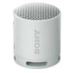 Sony SRS-XB100 Gris