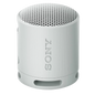Sony SRS-XB100 Gris