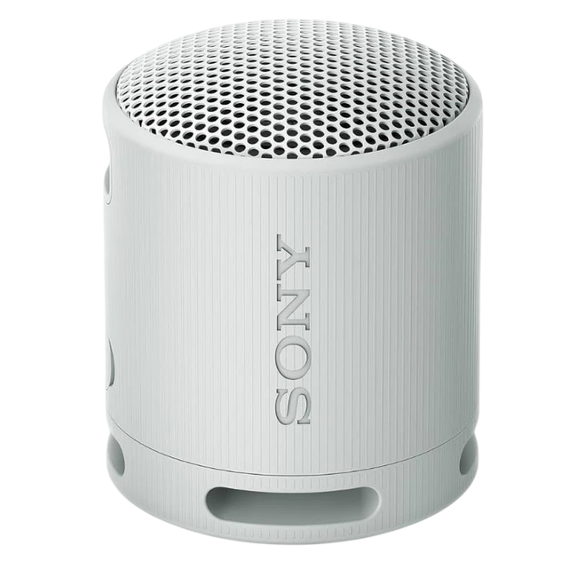 Sony SRS-XB100 Gris Hover Image