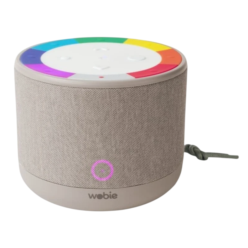 Wobie Box Gris IPX5 2200mAh manos libres entrada AUX WiFi Altavoz Bluetooth 5.3