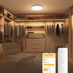 Xiaomi Smart Ceiling Light D20 250 x 60mm 900lm - Lámpara de Techo Inteligente