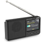 Radio Portátil SPC Jetty Lite Dab+/ con Batería/ Negra