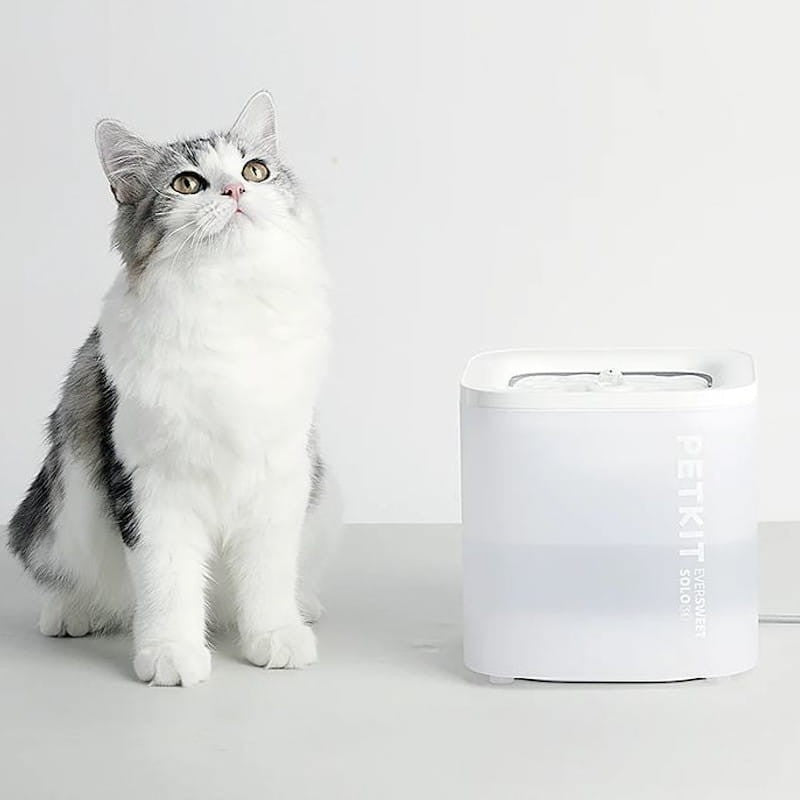 Bebedero Automático Petkit Eversweet Solo SE Smart Pet Fountain Blanco