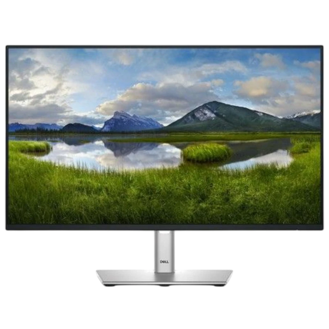 DELL P Series P2425H 24 Full HD LCD IPS 100 Hz Negro Hover Image