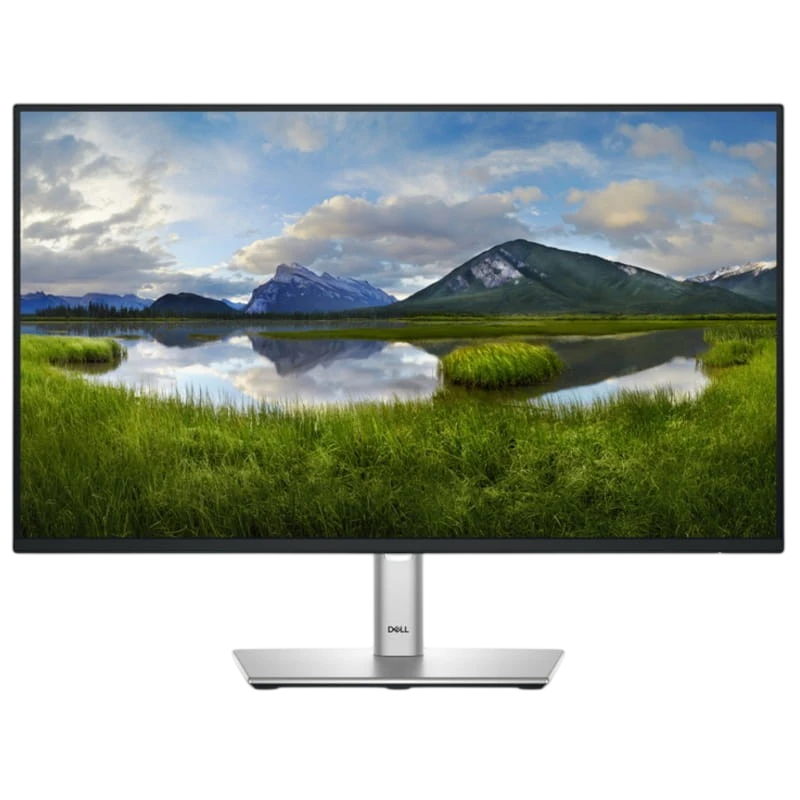 Dell P Series P2425HE 24 FullHD IPS 100Hz Negro