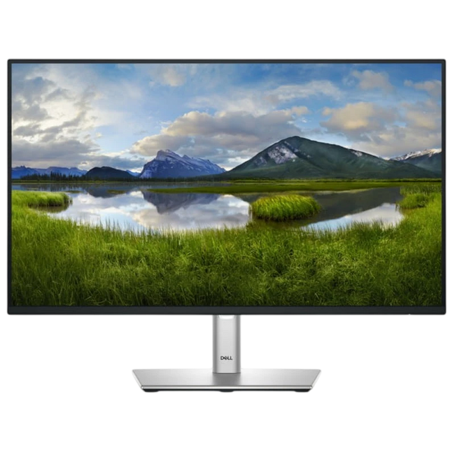 Dell P Series P2425HE 24 FullHD IPS 100Hz Negro Hover Image