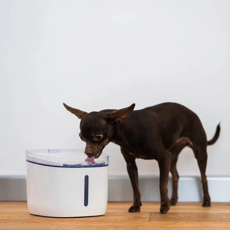 Bebedero Petoneer Fresco Mini Plus Smart Pet Fountain