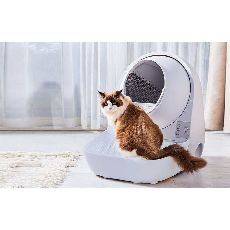 Escalera para Arenero Catlink Scooper