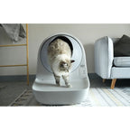 Escalera para Arenero Catlink Scooper