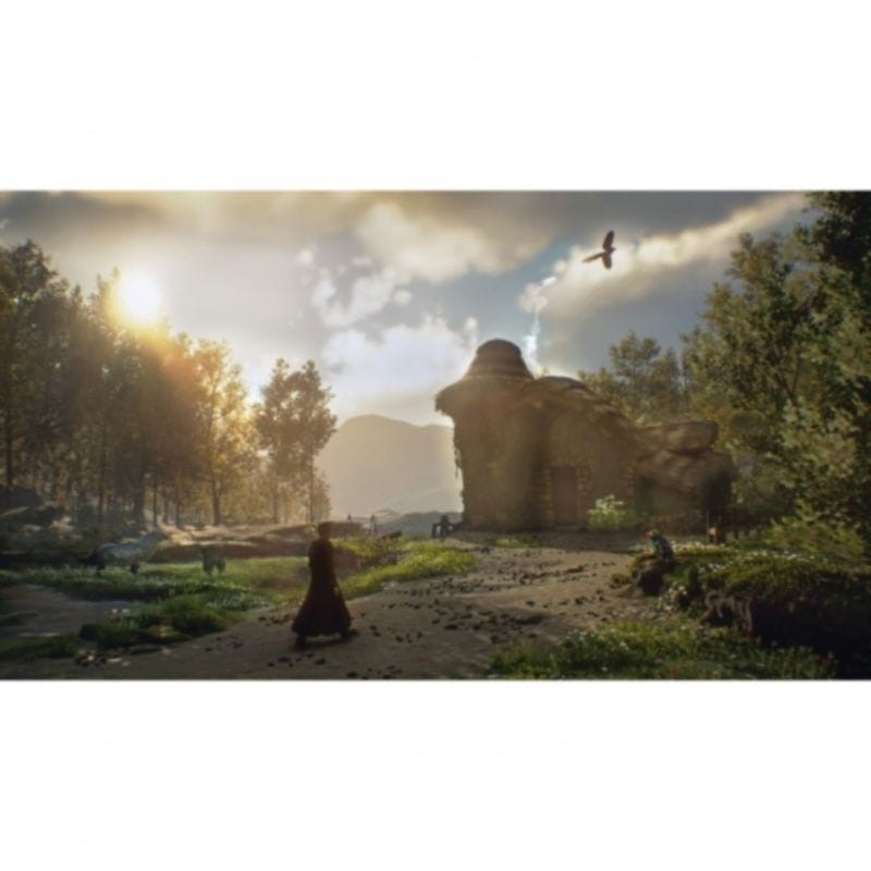 Hogwarts Legacy Standard - Sony PS5 Playstation 5