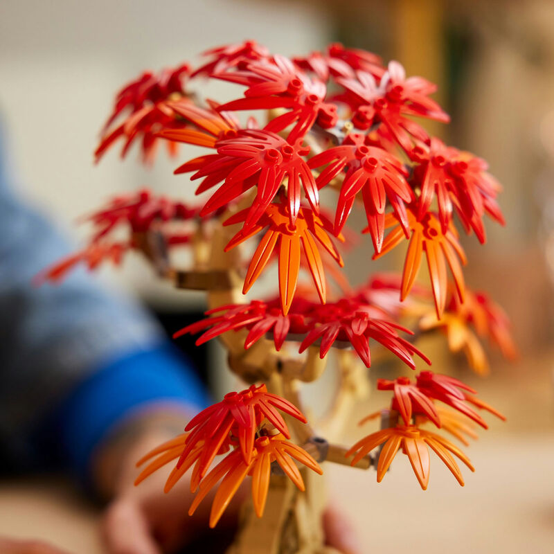 Lego botanicals - bonsái de arce rojo japonés