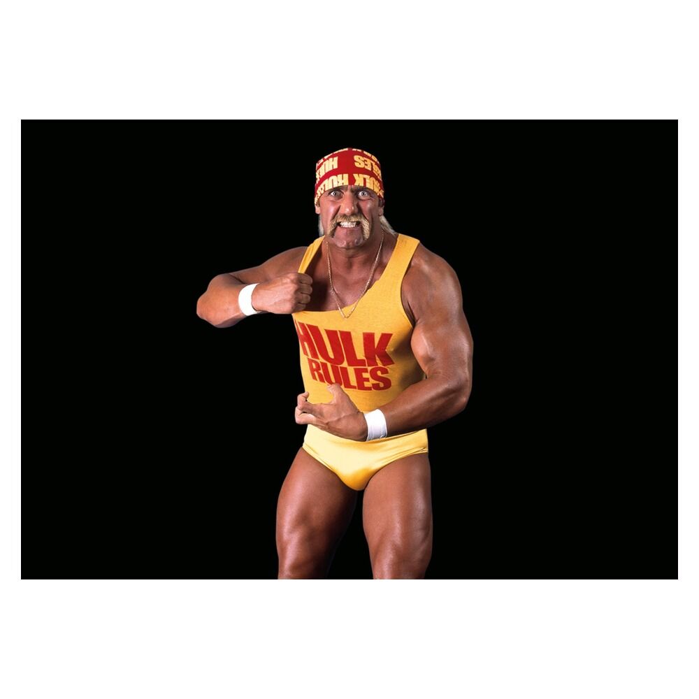 Playmobil - wwe hulk hogan