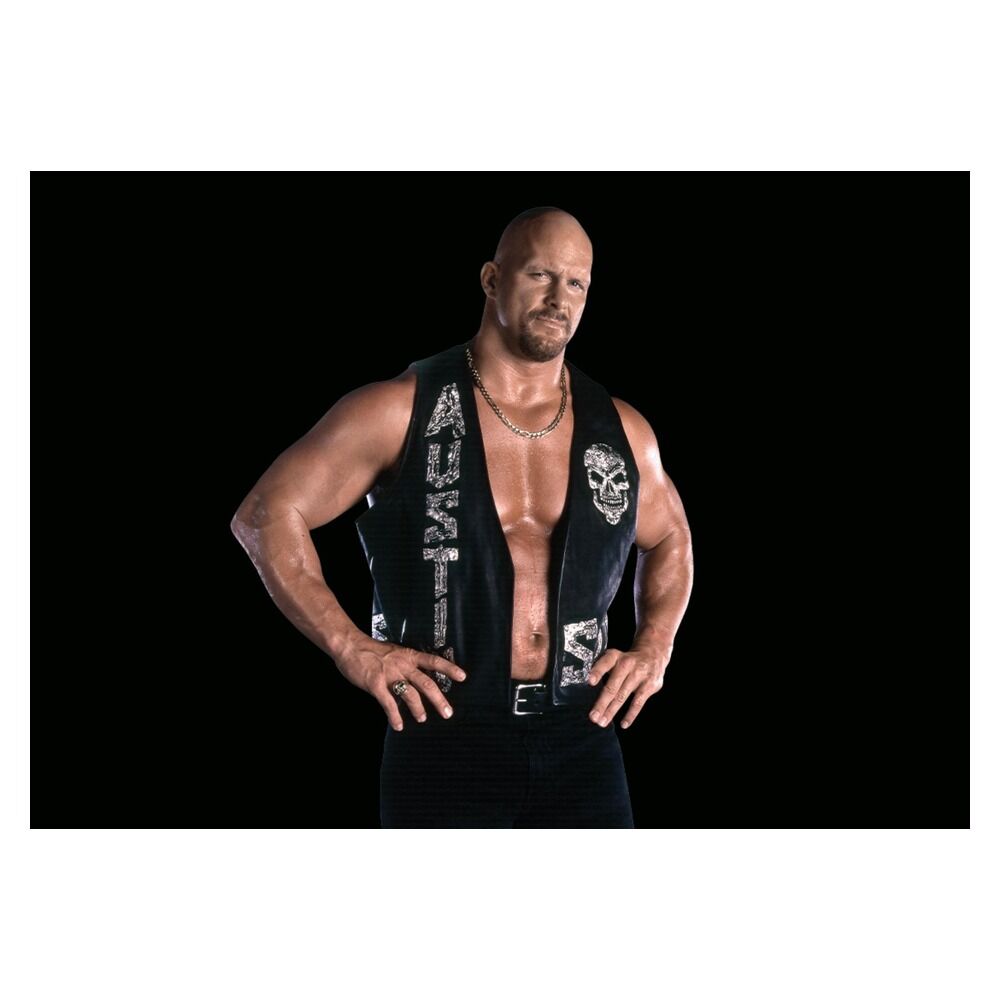 Playmobil - wwe stone cold