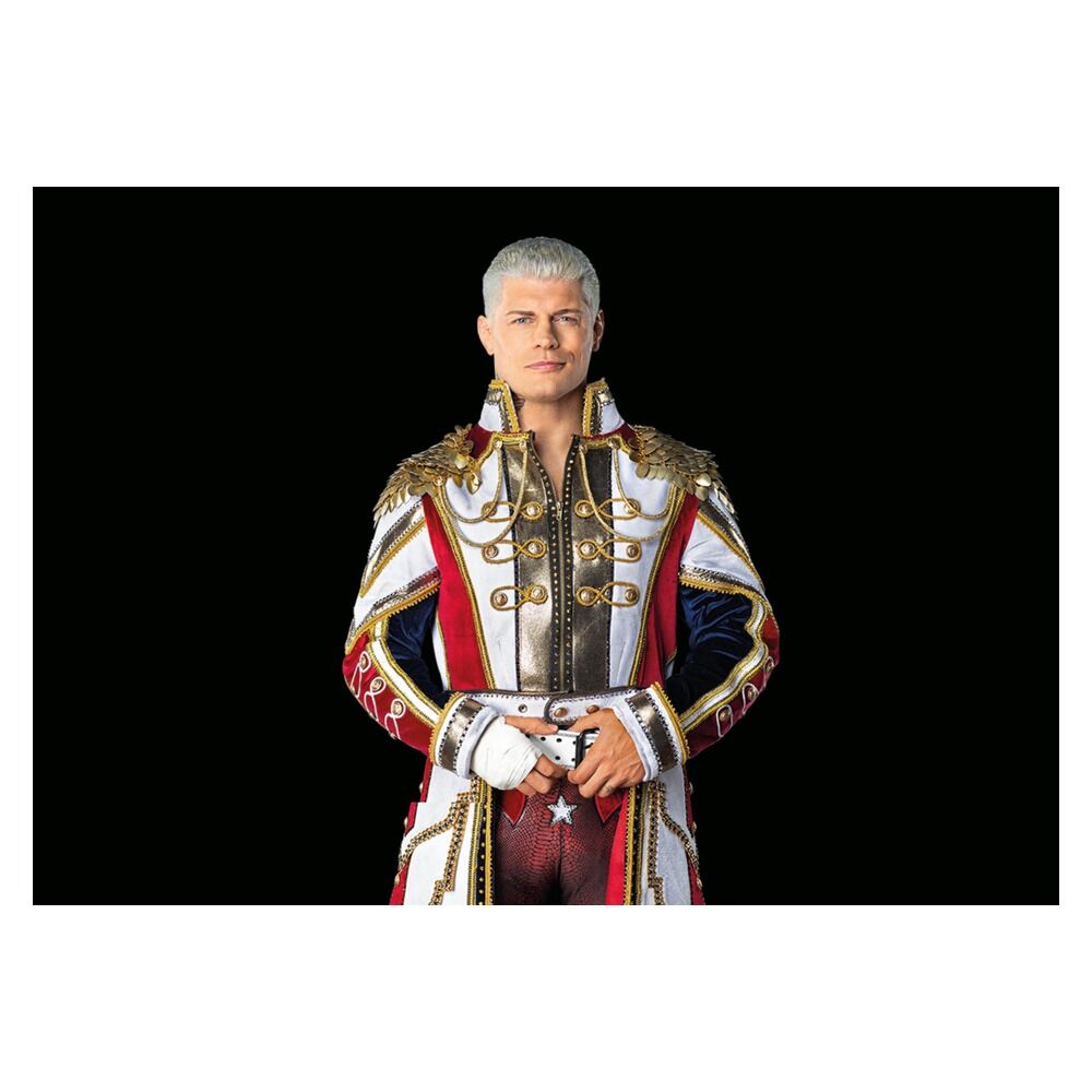 Playmobil - wwe cody rhodes