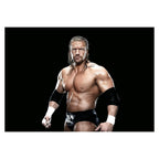 Playmobil - wwe triple h