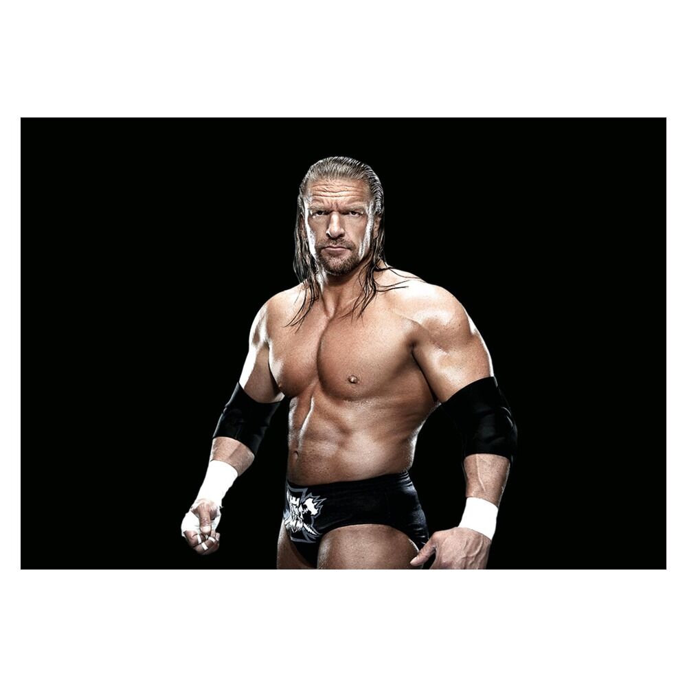 Playmobil - wwe triple h