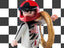 Campeón de carreras - playmobil - sobre sorpresa serie 10 chicos