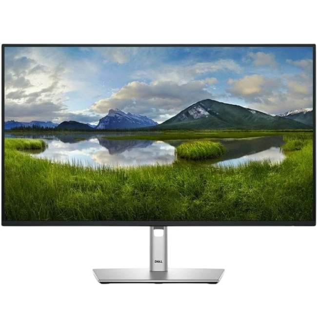 DELL P Series P2725HE 27 Full HD LCD IPS 100 Hz Negro Hover Image