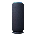 Motorola Sound Flow, carbon