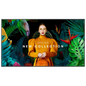 Samsung QB43C 43 4K Ultra HD VA Samsung VXT Negro