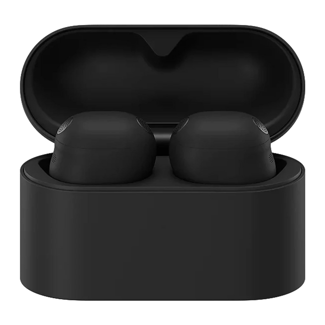 Sony WF-1000XM6 Black Hover Image