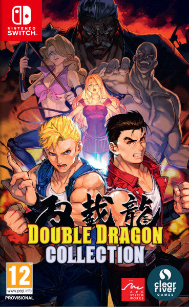 Double Dragon Collection Nintendo Switch Hover Image