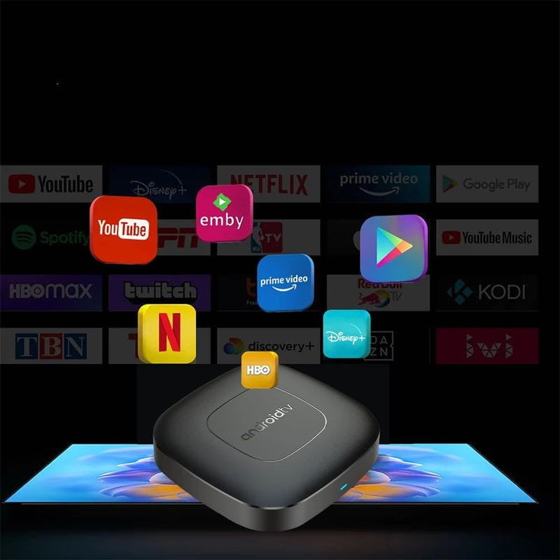 T1 H313 2GB/8GB Wifi Dual Android 13 Negro - Android TV