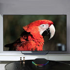 T95Z Plus 4K 4GB/32GB Wifi 6 Android 12 - Android TV