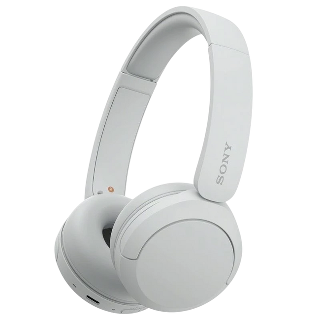 Sony WH-CH520 Blanco Hover Image